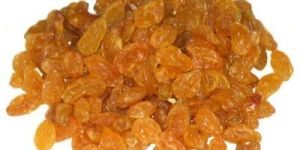 Dry Raisin