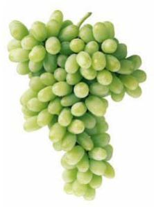 Thompson Seedless Grapes