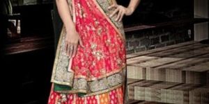 Hand Embroidered Chaniya Choli