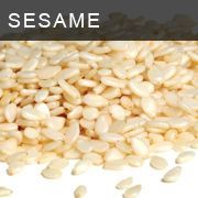 Sesame Seed