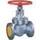 Cast Steel Globe Valve