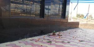 Interlocking Paving Blocks