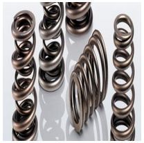 Engine Valve Springs