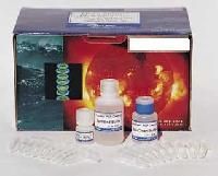 Plant DNA Isolation Kits