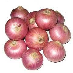 Onion
