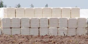 Cotton Bales