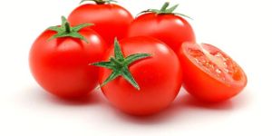 Fresh Tomato
