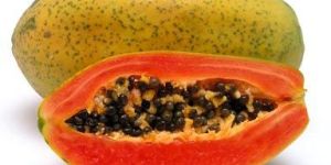 Fresh Papaya