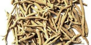 Ashwagandha Extract