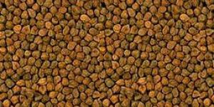 Black Chickpeas
