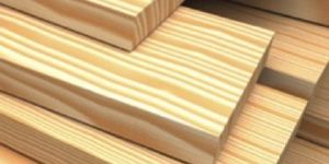 Softwood Timber