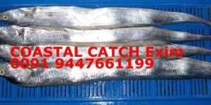 Sell Frozen Ribbonfish