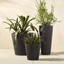 Plastic Planters