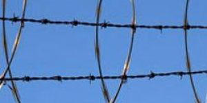 Barbed Wire