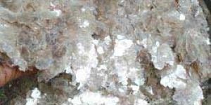 Mica Flakes