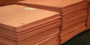 Copper Cathodes