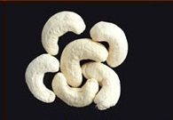 Cashew Nuts