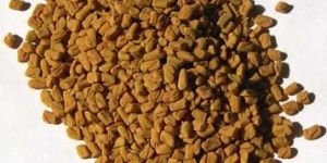 Fenugreek Seeds