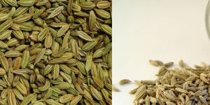 Fennel Seeds