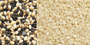Sesame Seeds