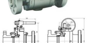 Forged Steel Trunnion Ball Valve