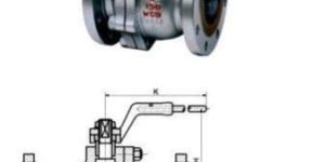 Stainless Steel Floating Ball Valve