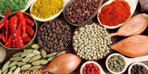 Indian Spices