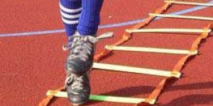 Agility Ladders
