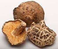 Dried Mushroom