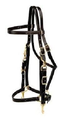 Leather Halters