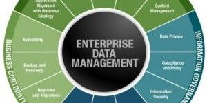 Data Management Services