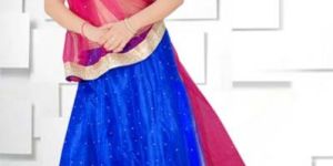 Designer Lehenga Choli
