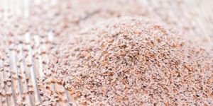 Organic Psyllium Seeds