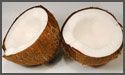 Coconut