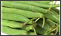 French Beans