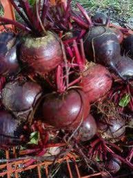 Fresh Beetroot