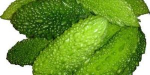 Fresh Bitter Gourd