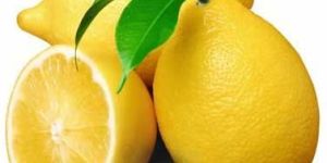 Fresh Lemon