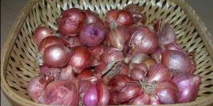 Sambar Onion