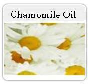Chamomile Oil