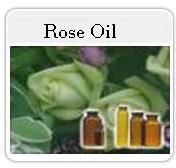 Rose Oil