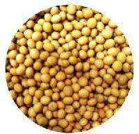 Organic Soybeans