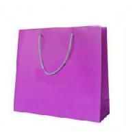 Art Paper Carry Bags