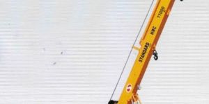 Hydraulic Mobile Crane (11000)