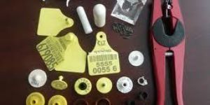 Ear Tags
