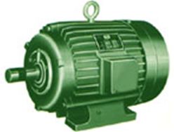 Induction Motor