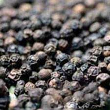Black Pepper