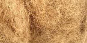 Coir Fibre