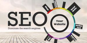 Search Engine Optimization Services