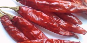 Dry Red Chillies